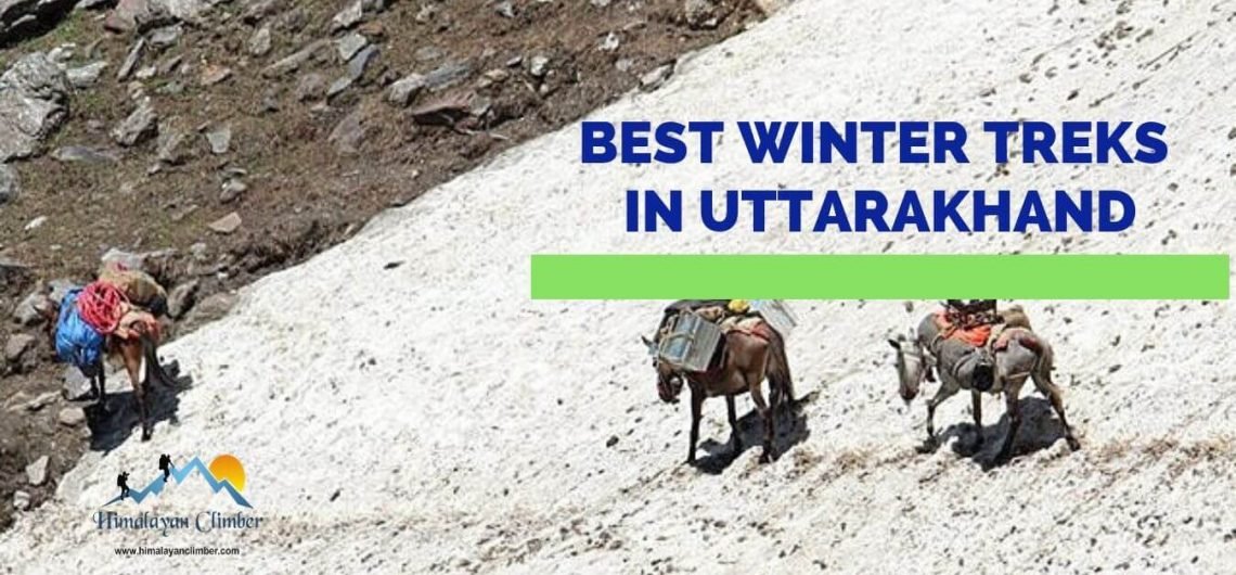 Best winter treks in Uttarakhand