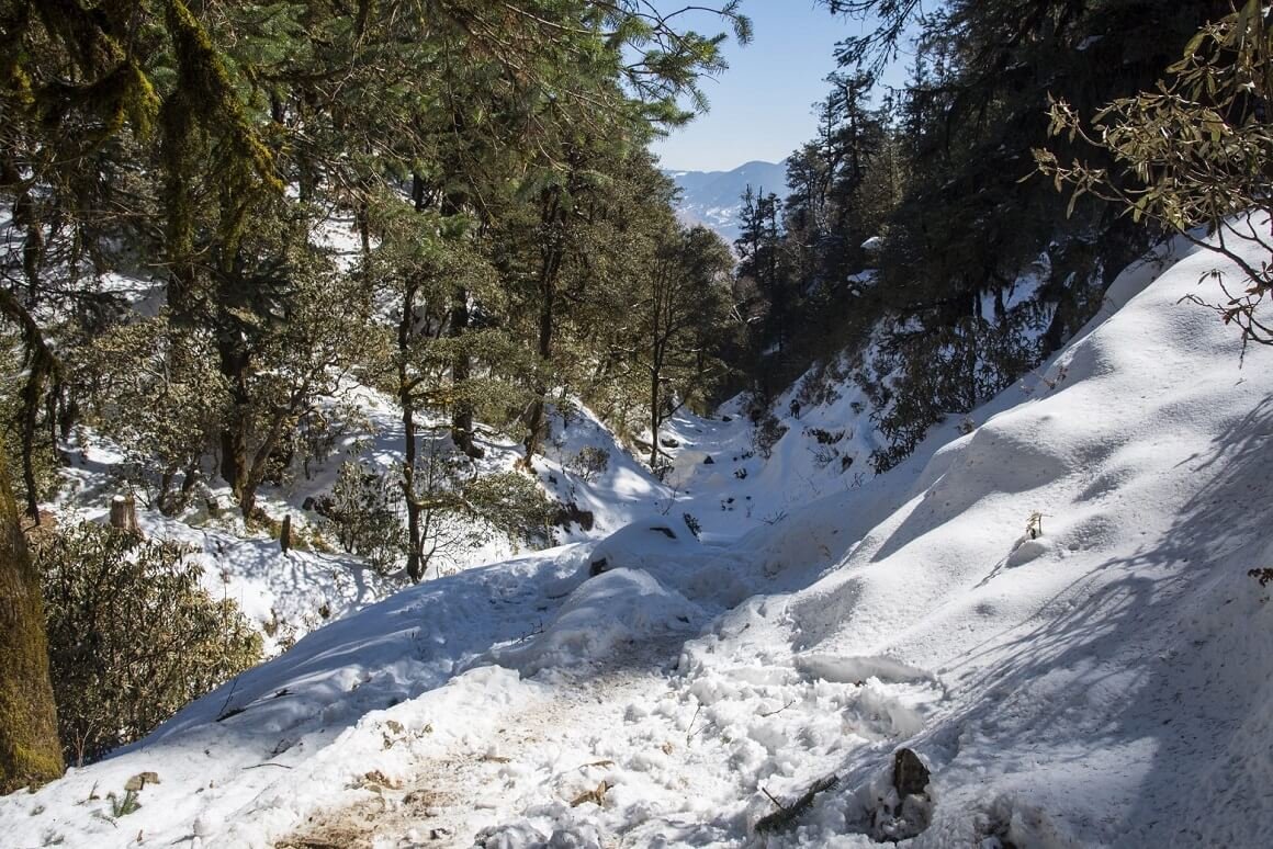 Dayara Bugyal Trek Best time 